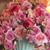 Dianna Reynolds Boyd's profile image