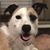 MaryAnn Talamo's profile image