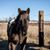 Patti Marcotte's profile image