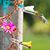 Jeannette Peppell Odhner's profile image