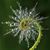 Vera Weng's profile image