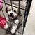 Ilene Cassuto Gottlieb's profile image