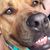 Jermey Vaughn's profile image
