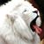 Quintechette Jones's profile image