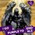 Guillermo Santiago's profile image