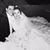 Kim Ross-Lee's profile image