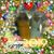 Lois Hogan's profile image