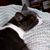 Cathy Kane's profile image