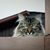 Susan Simpson's profile image