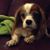 Denise Catherine's profile image