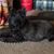 Rhonda L. Wilson's profile image