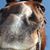 Jeanne Van Huystee's profile image