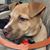 Deborah Donson's profile image