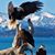 Steve Kundert's profile image