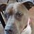 Jean McPhillips's profile image