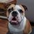 Amy Smullin's profile image