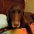 Laurie Keller's profile image