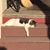 Beth Newberry Anheier's profile image