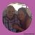 Connie Hatfield's profile image