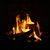 Donna Moniz's profile image