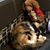 Robin Brown Christofferson's profile image