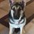 Kristine Leibforth's profile image