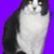 Maribeth Montgomery Kasik's profile image