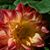 Sandy Kendhammer-Jerue's profile image