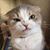 Laya White's profile image