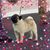 Karen Grueninger's profile image