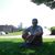 Mihai Gliga's profile image