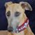 Anne Hicks Kaylor's profile image