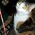 Vickey Owens Lewis's profile image