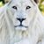 Johnathan M Pruitt Sr.'s profile image