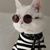 Cindy Garrison's profile image