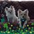 Lisa Johnson Richards's profile image