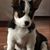 Rose Weinfurtner's profile image