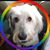 Kathy A Voss's profile image