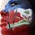 Kathy Lynn's profile image
