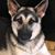 Madalene McIlwain's profile image