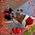 Susan Heuerman's profile image