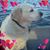 Margaret Freeberg Cade's profile image