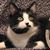 Mary Ann Kiera's profile image