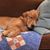 Lee Anne Embry's profile image