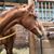 Barbara Reed's profile image