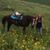 Carrie Dee's profile image