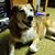 Mark Emerson DeFord's profile image