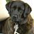 Cindy Bush Nelson's profile image