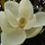 Terri Smith's profile image
