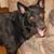 Jim Hillhouse's profile image